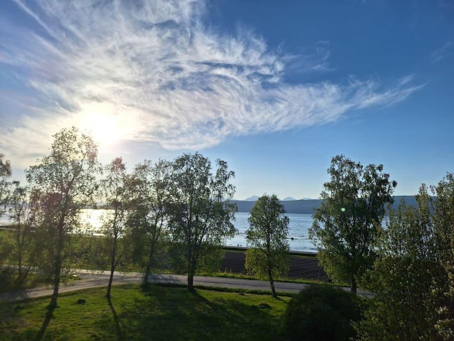 Farmroom With Sauna And Aurora Narvik Exterior photo